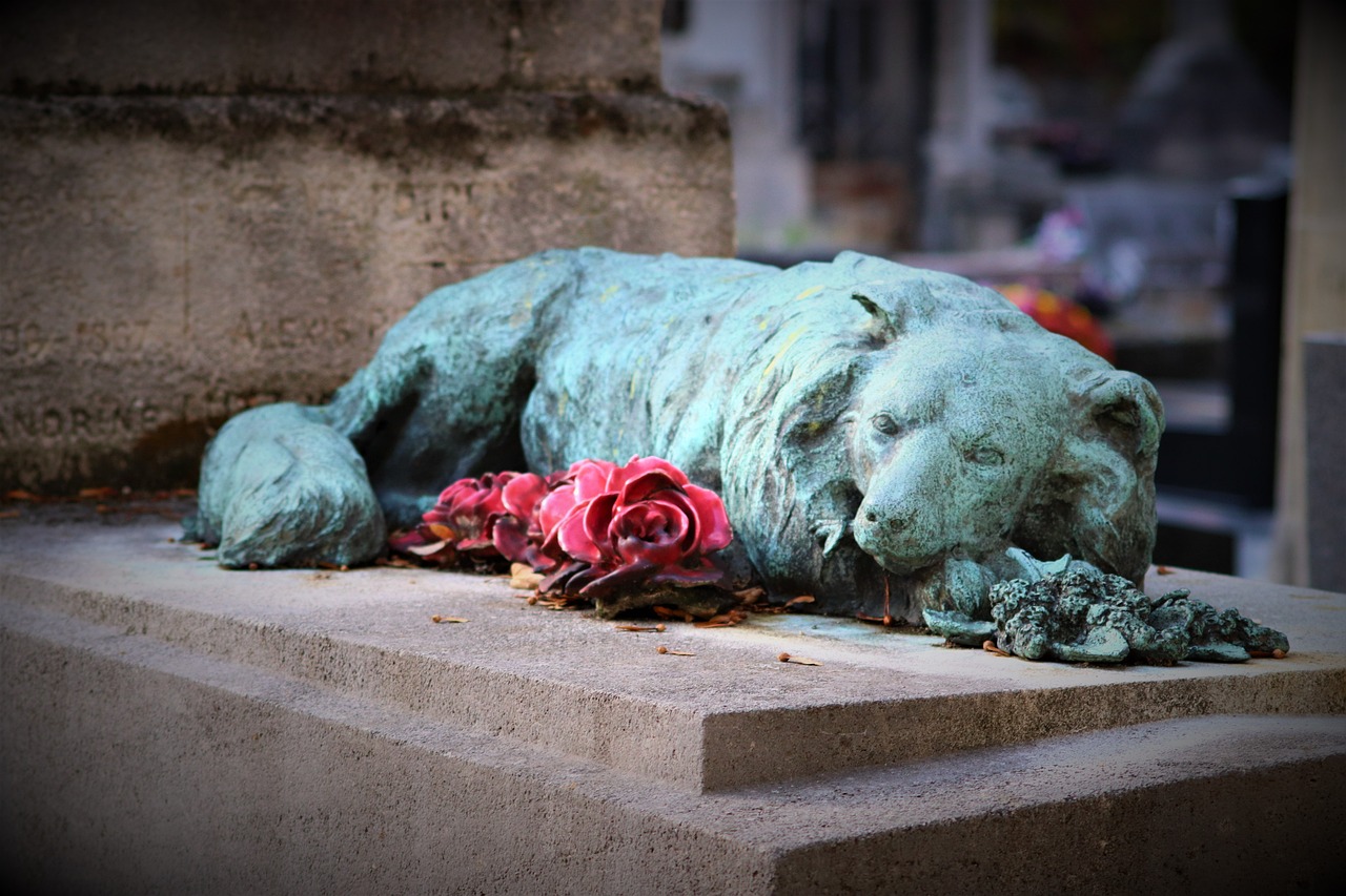 cimitero per animali