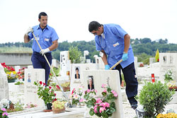 Servizi cimiteriali garantiti sui cimiteri capitolini